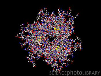 TNF是肿瘤坏死因子-α（Tumor Necrosis Factor）的简写，是一种能够直接杀伤肿瘤细胞而对正常细胞无明显毒性的细胞因子，