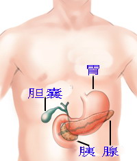 PNAS：用特异性基因突变诊断胰腺囊肿